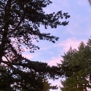 Meet your Posher, Cinnamorolling